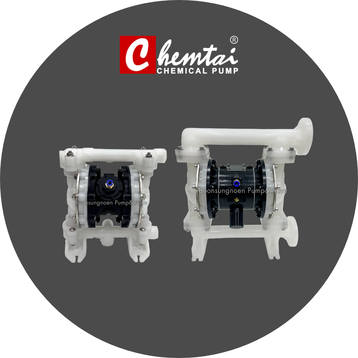 Double-Diaphragm-Pump-CHEMTAI