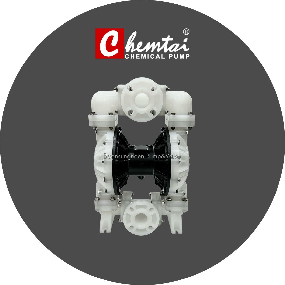 Double-Diaphragm-Pump-CHEMTAI