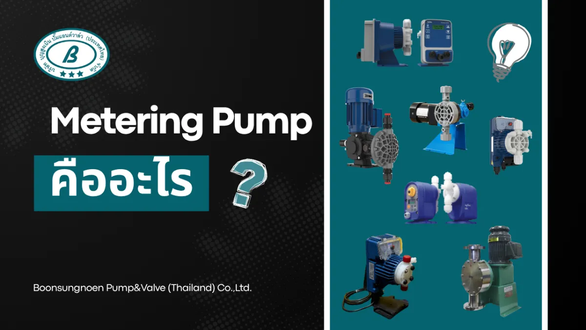 การทำงานของ Metering Pump
