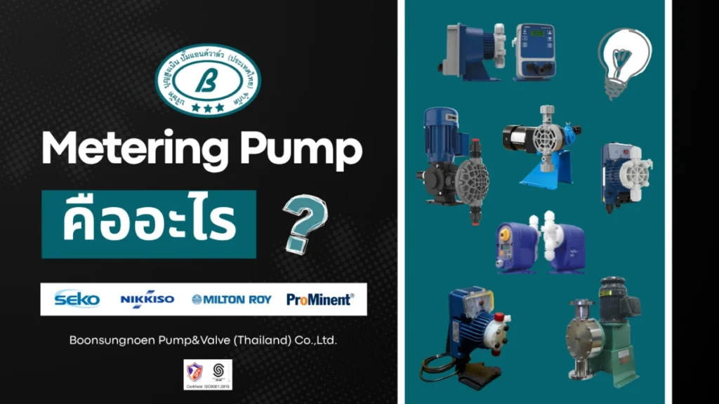Metering & Dosing Pump