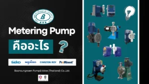 Metering & Dosing Pump