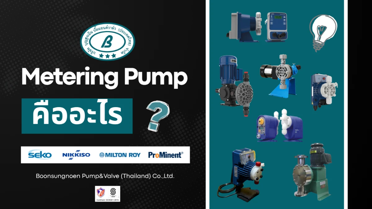 Metering & Dosing Pump