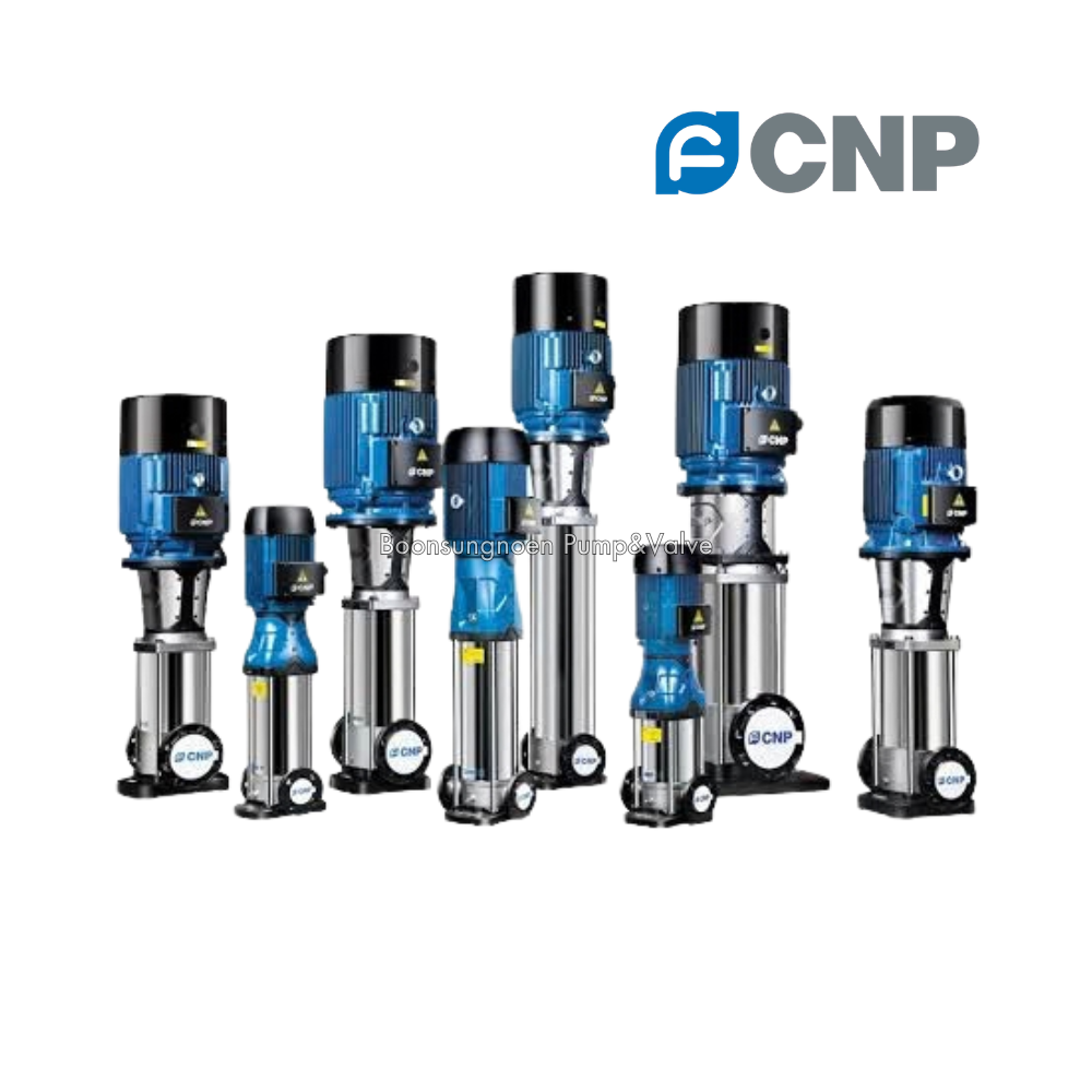 CNP Pump CDM Series Vertical Multistage Pump