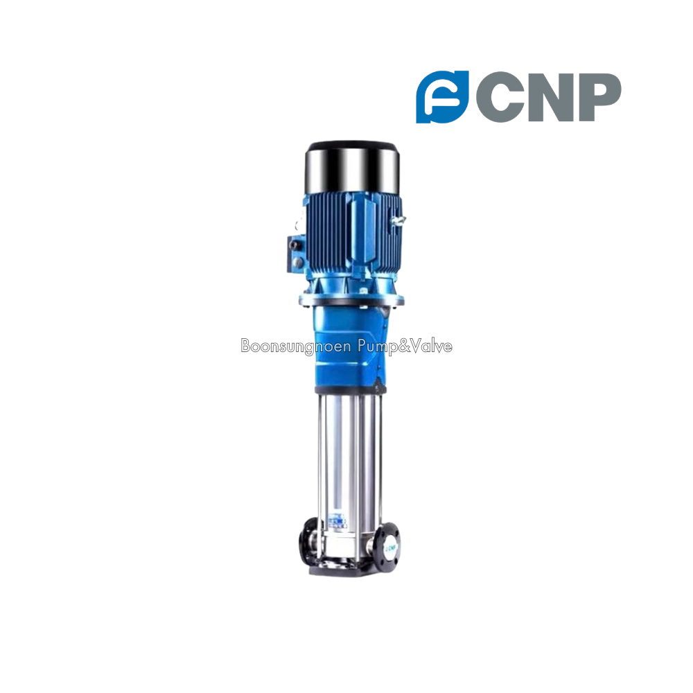CNP Pump CDM Series Vertical Multistage Pump